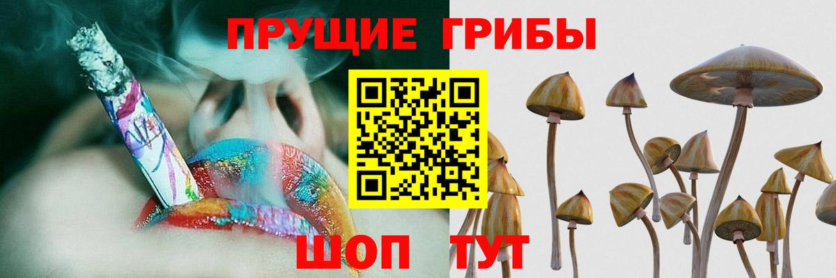 Псилоцибиновые грибы MAGIC MUSHROOMS Мценск